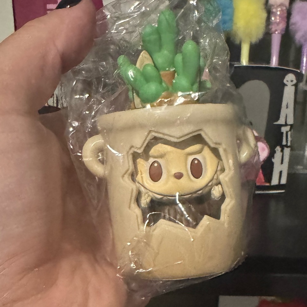 Almost Hidden Labubu Figure